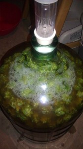 Dry Hopping