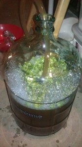 Homegrown Hops and Dry Hopping