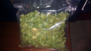 One Ounce of Homegrown Hops