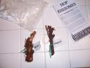 Hop Rhizomes