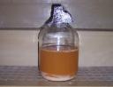 Saison Yeast Starter