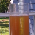 First Cider Gravity Reading - just over 1.040.