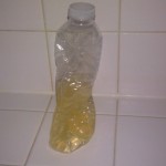Hard Cider In a Plastic Bottle
