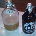 2 yeast starters