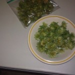 Dried Homegrown Hops