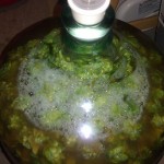 Dry Hopping