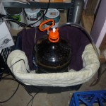 Fermentation Bin Opened Up