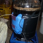 Fermenter With Probe Attached