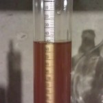 Berry Wheat Hydrometer Reading