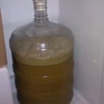 Bohemian Pilsner Fermenation