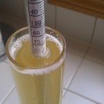 Medium Mead Starting Gravity