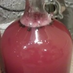 Blueberry Mead