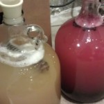 Mead Experiments
