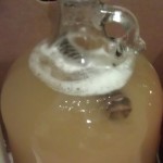 Oaked Mead