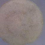 Wheat Beer Mash