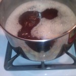 Pilsner Yeast Starter Boil