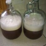 Pilsner Yeast Starters