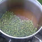 Autumn Ale First Wort Hopping