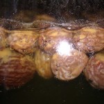 Raisins Added To Cider