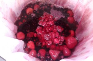 Berries for the Mead