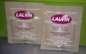 Lalvin Narbonne 71-B 1122 Yeast