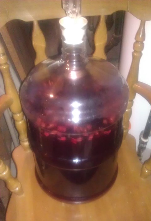 Mixed Berry Melomel Conditioning