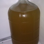 Mead After Bentonite