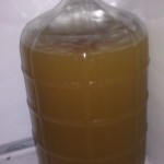 Mead Before Bentonite