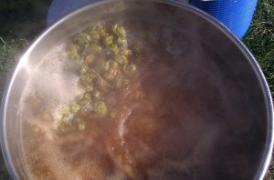 Hops in the full boil