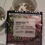 Mosaic hops brew day
