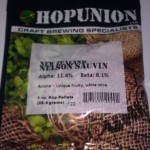 Nelson Sauvin Pellet Hops