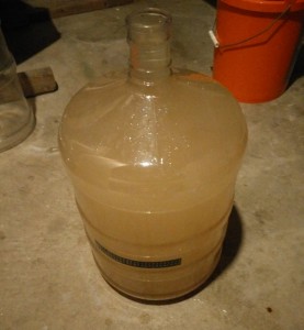 Cleaning The Carboy