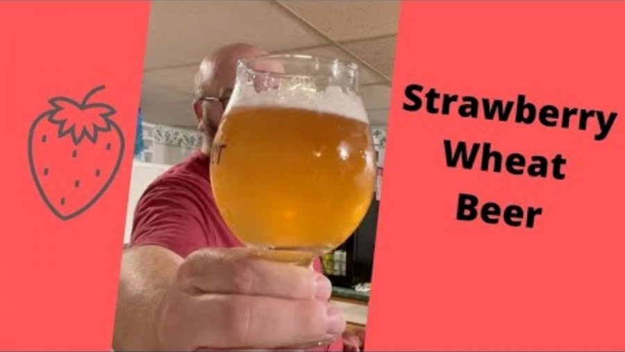 Strawberry Wheat Beer Recipe & Tasting Brew Dudes