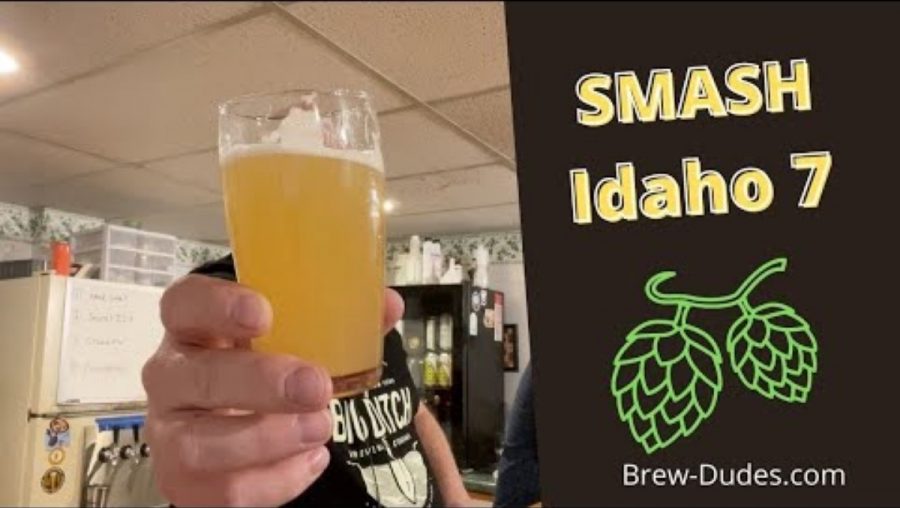 Idaho 7 hops SMaSH Beer